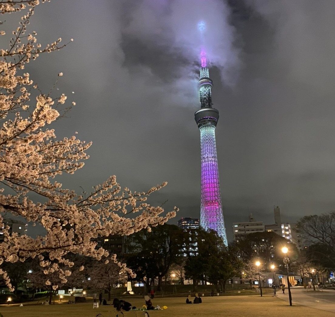隅田公園とスカイツリー