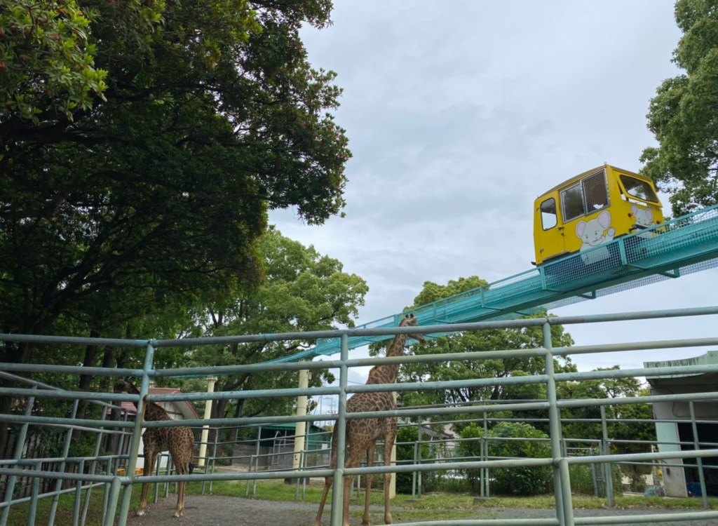 熊本市動植物園のモノレールとキリン