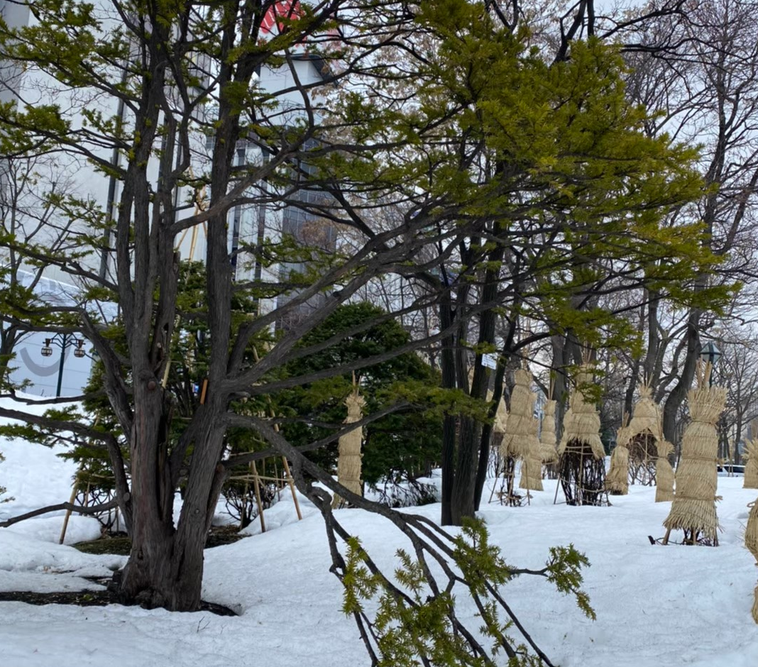 公園