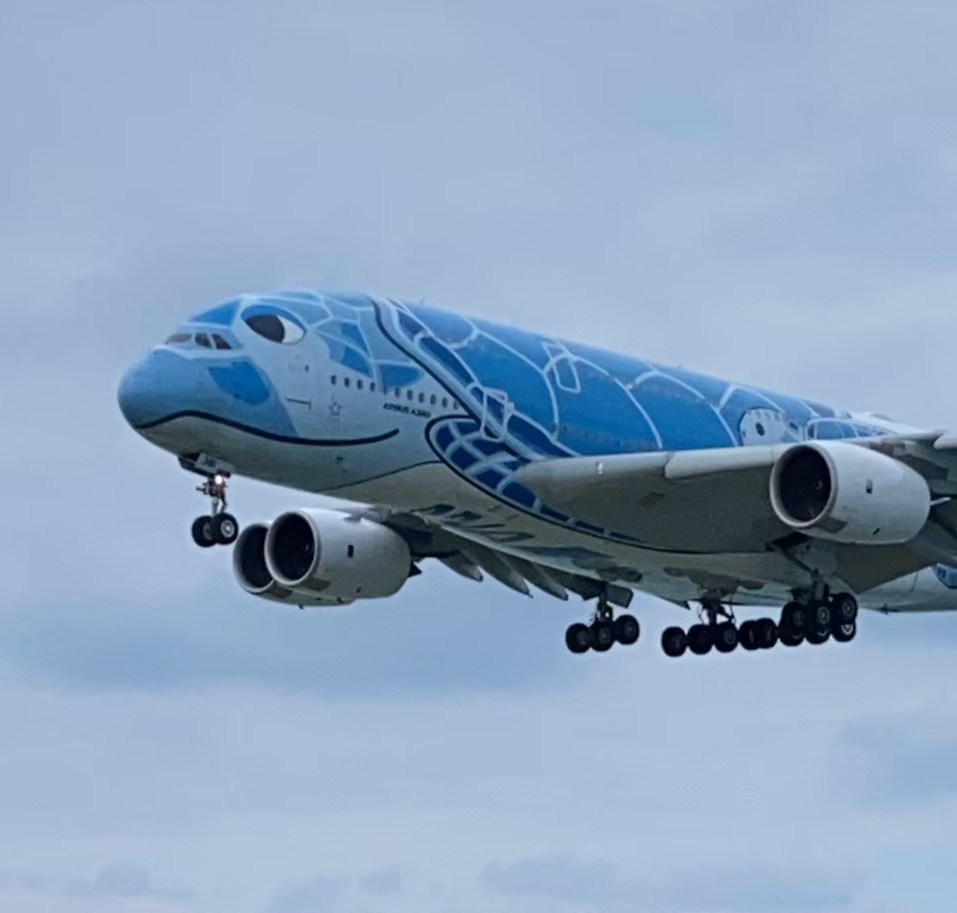 ANAのA380