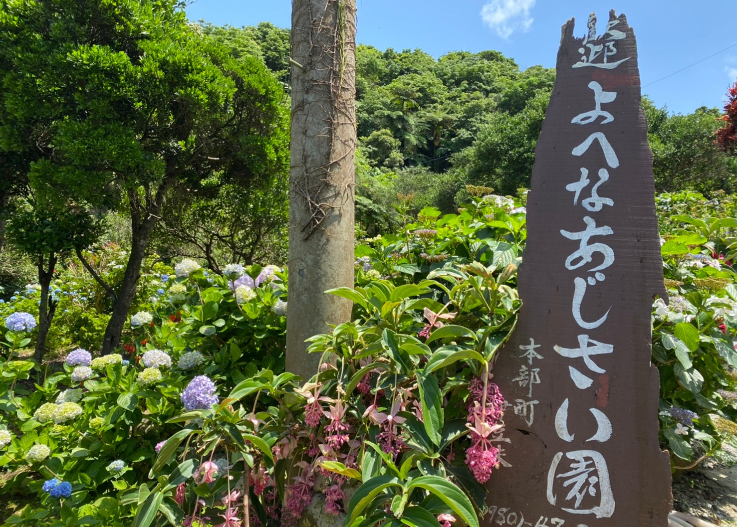 よへなあじさい園の入り口