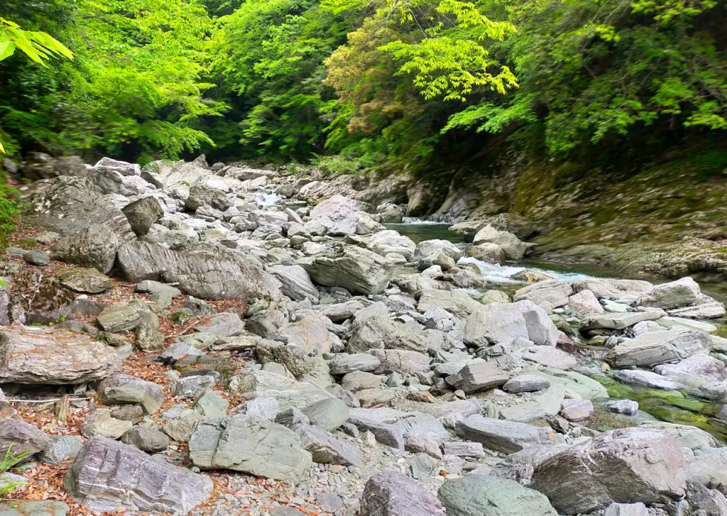 安居渓谷の岩