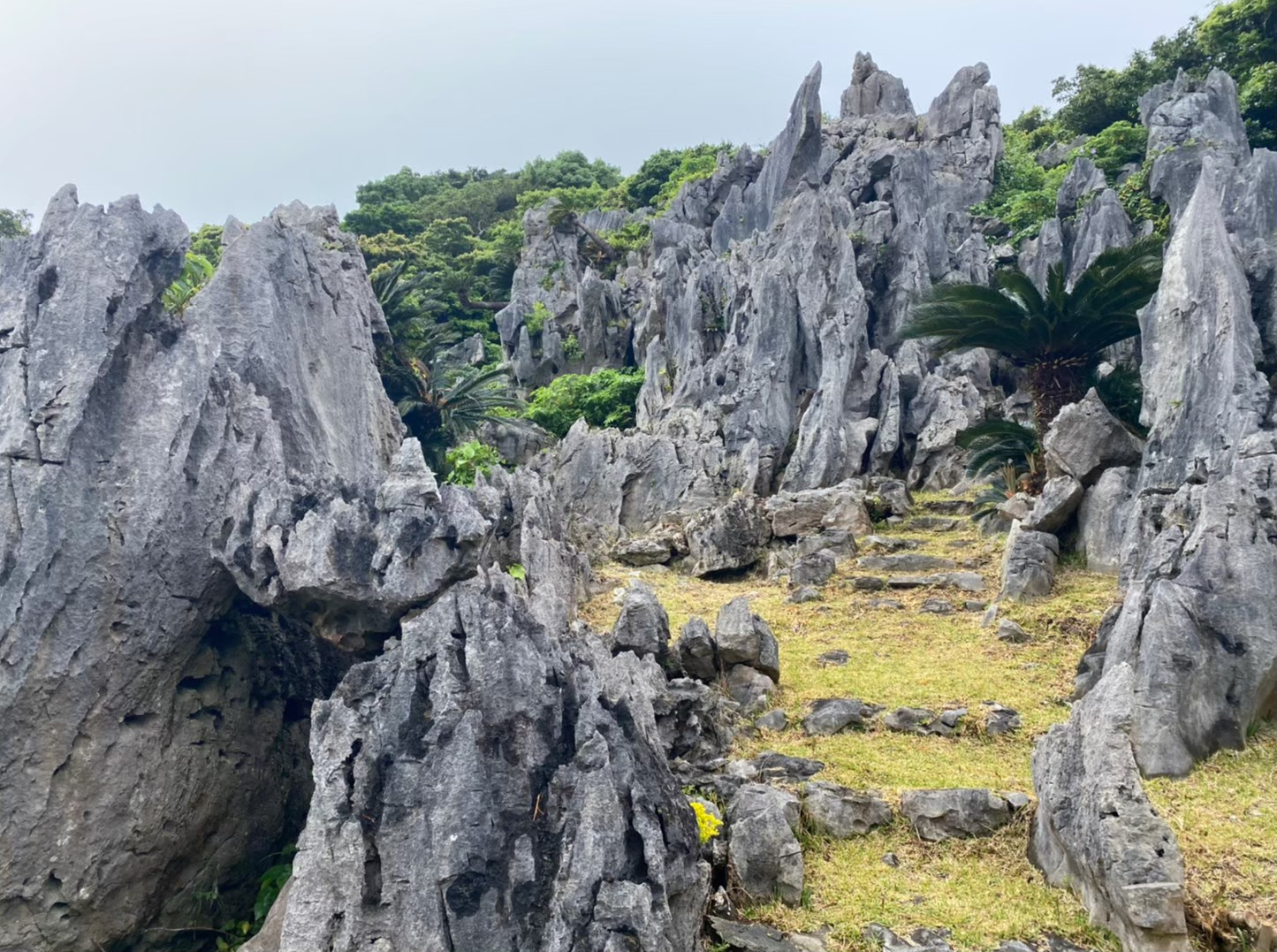 大石林山