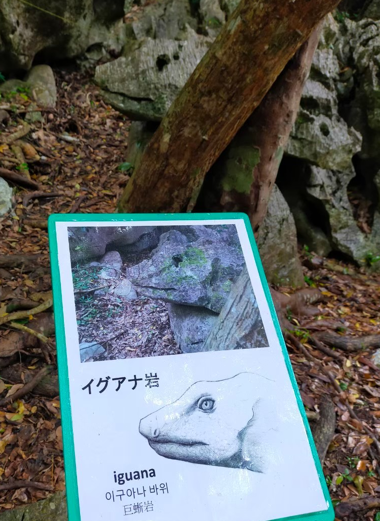 大石林山のイグアナ岩