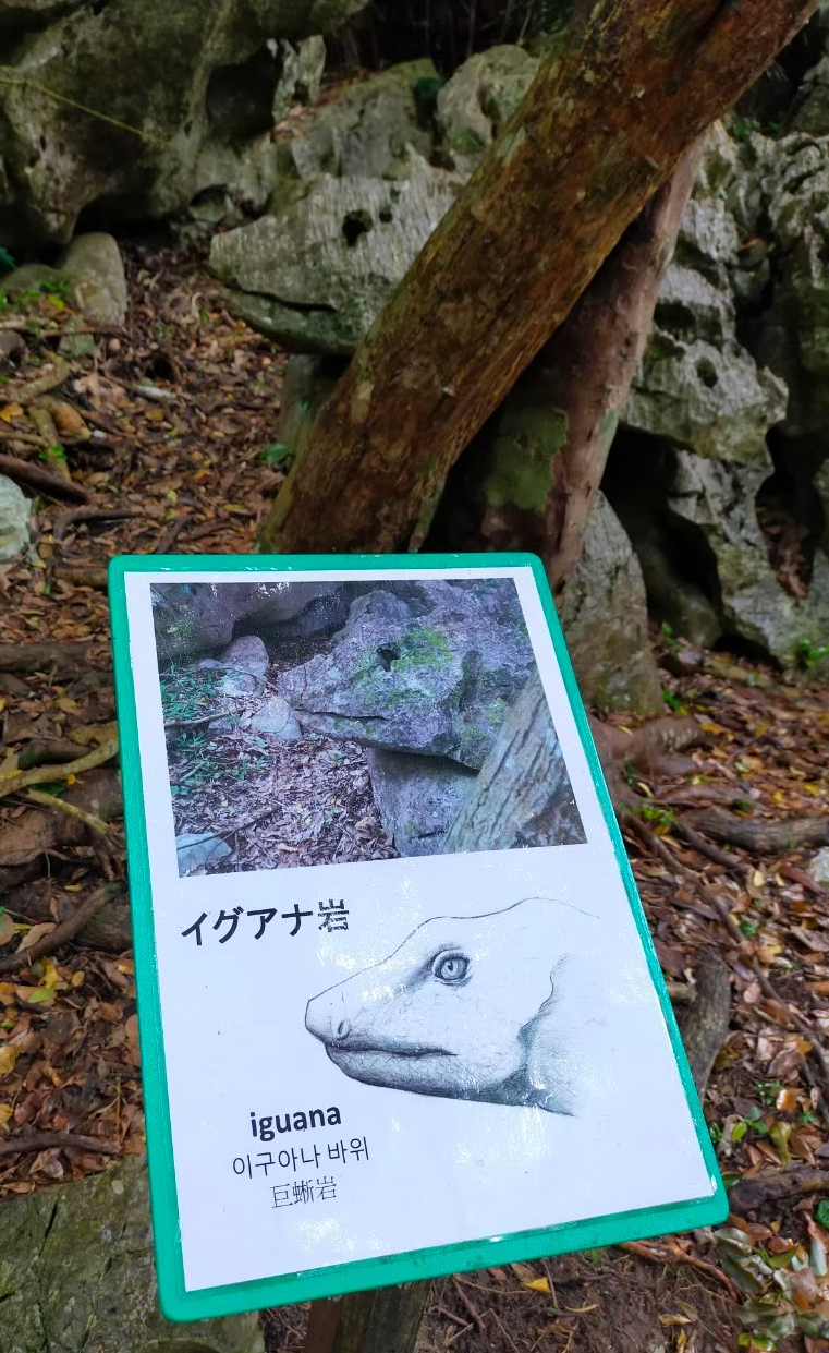 大石林山のイグアナ岩