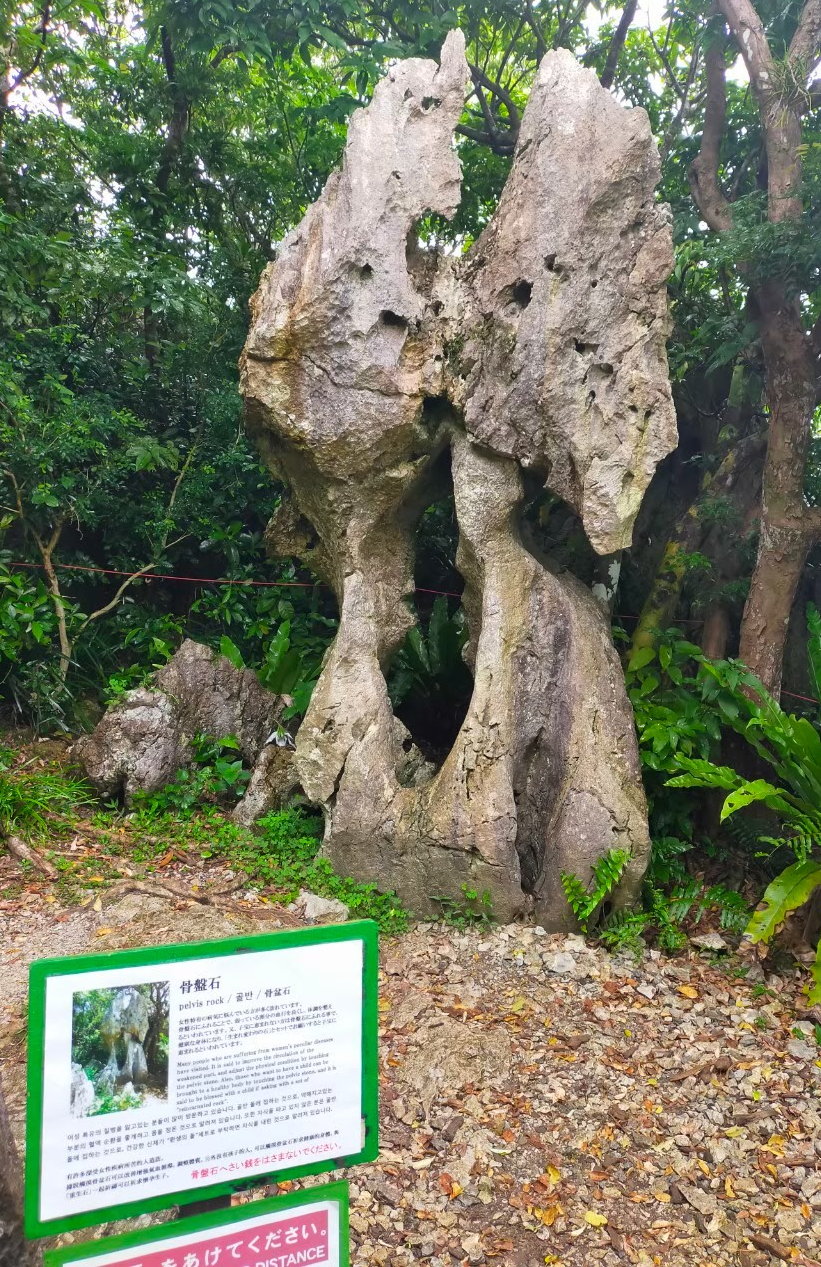 大石林山の骨盤岩