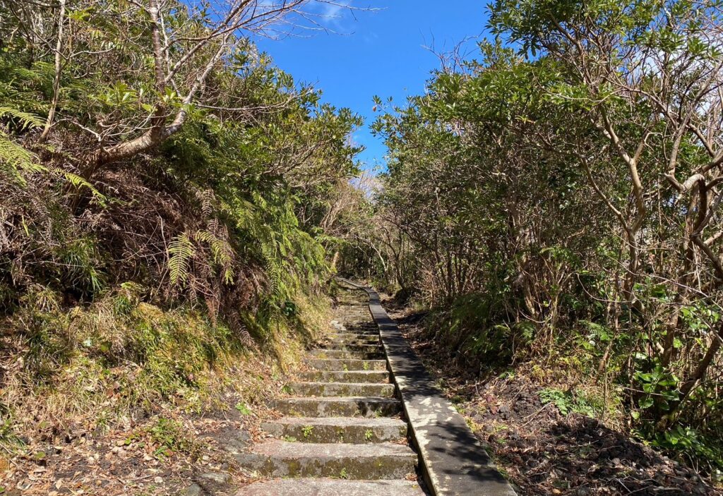 しっかり整備されたお鉢までの登山道