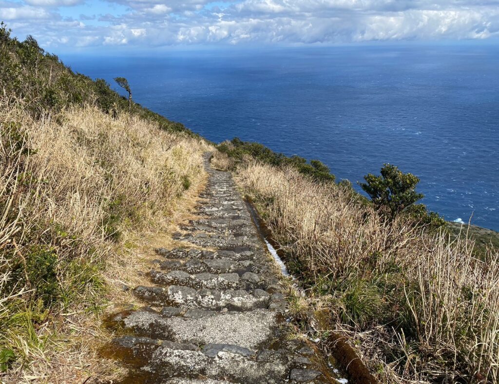 登山道