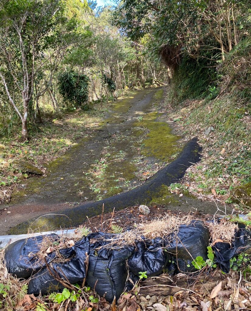 唐滝遊歩道