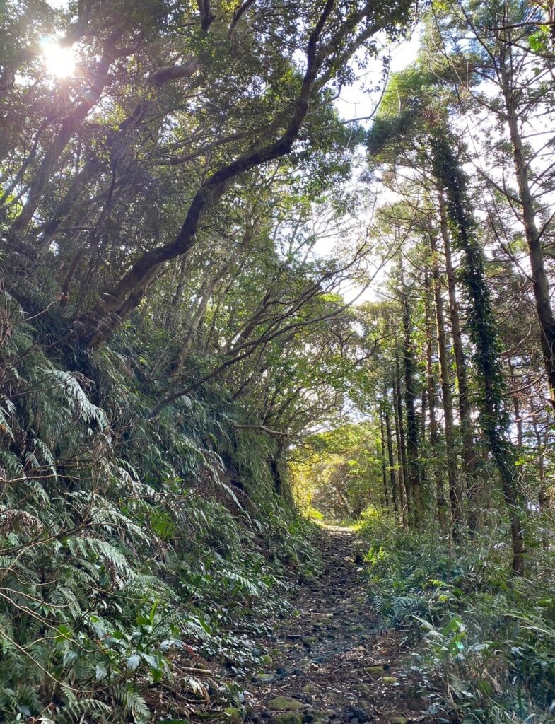 唐滝遊歩道