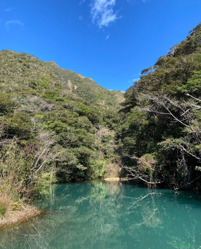 硫黄沼ベストショット