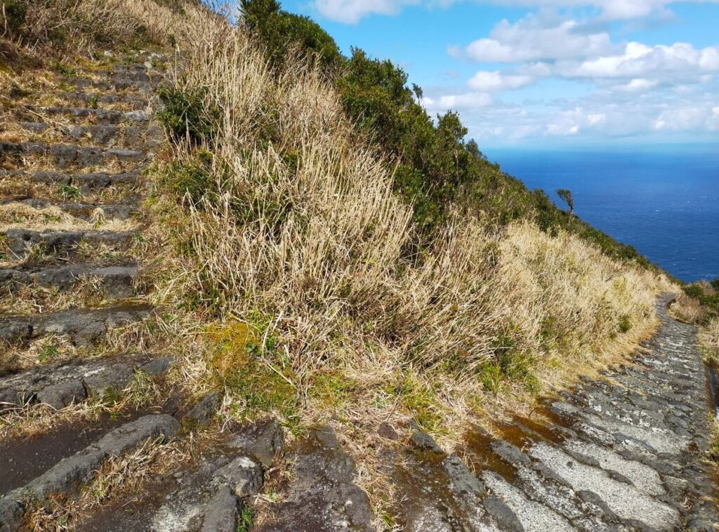 登山道