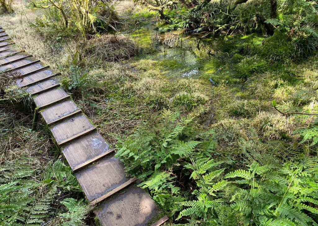 火口の浅間神社への道