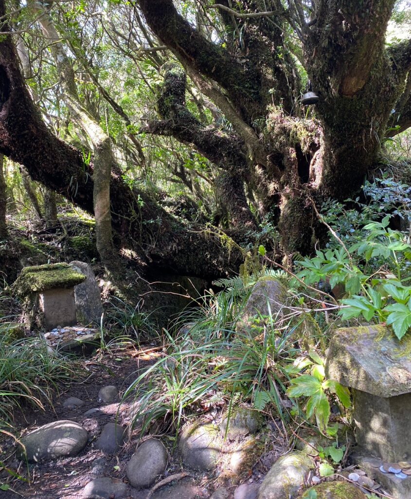 八丈富士の火口にある浅間神社