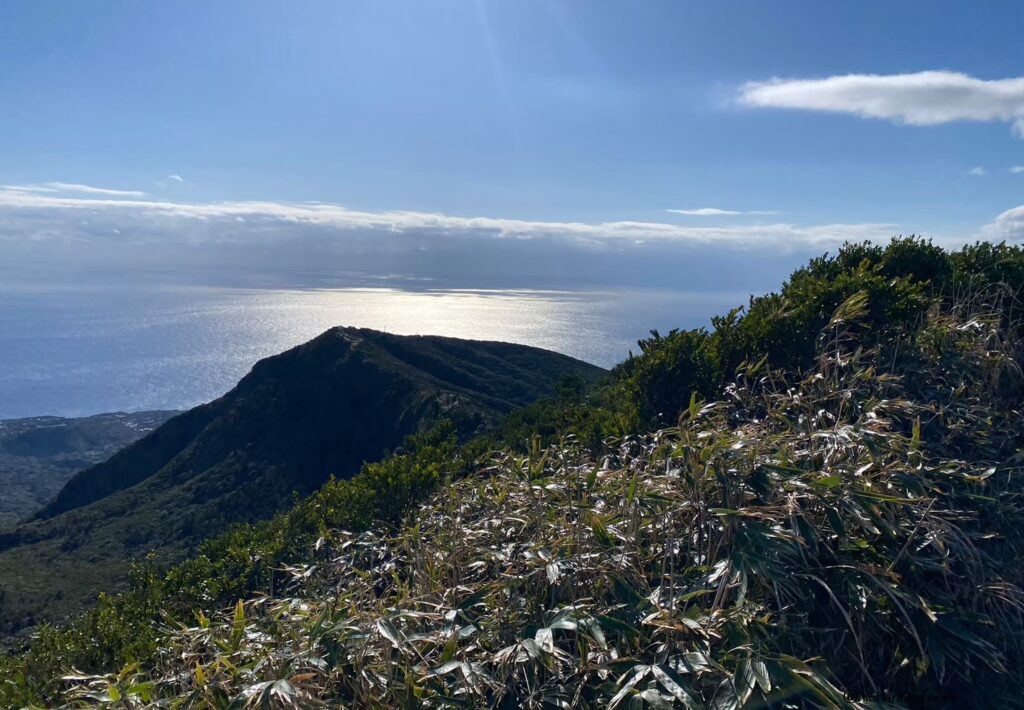 山頂からの風景