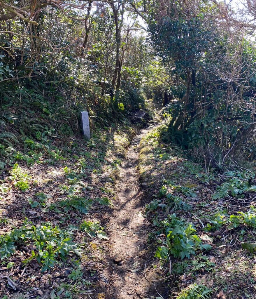 登山道