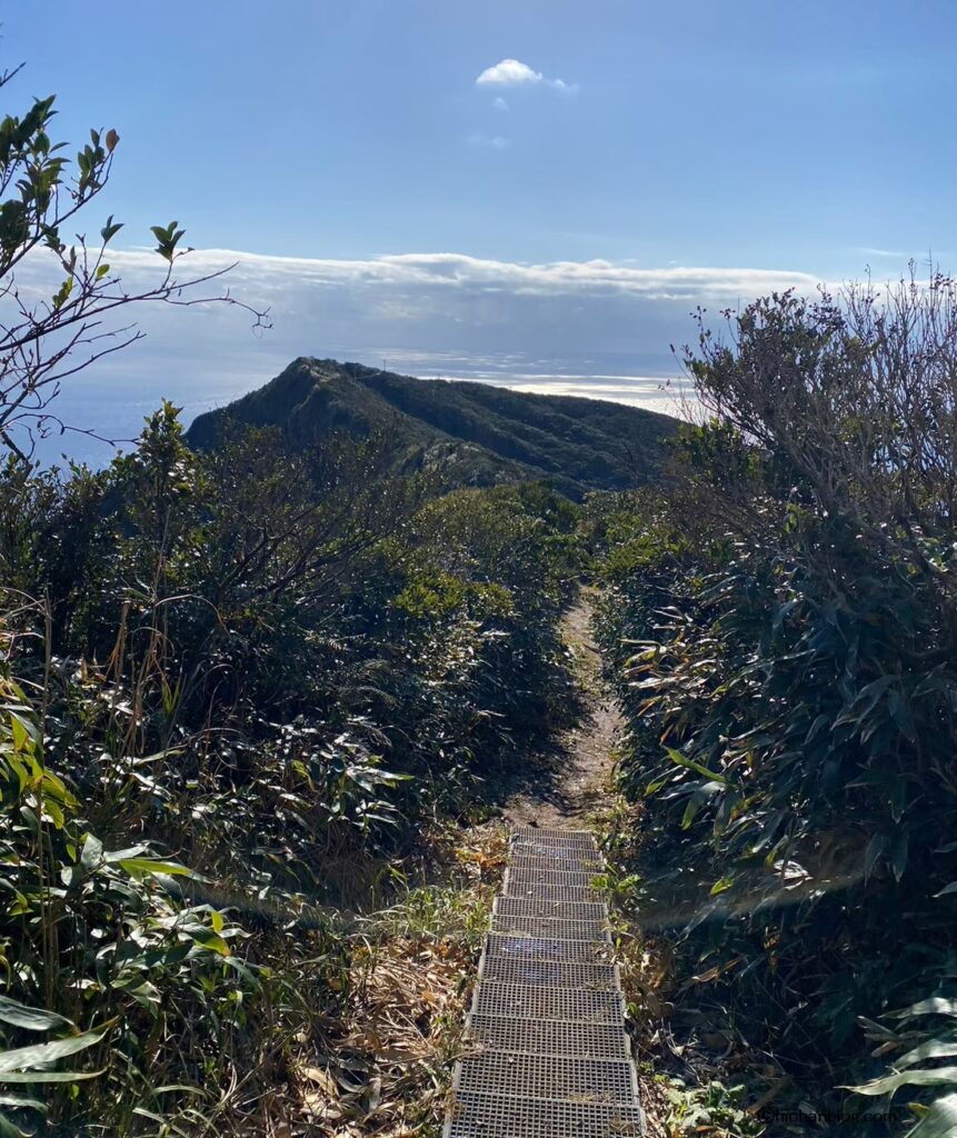 三原山の登山道