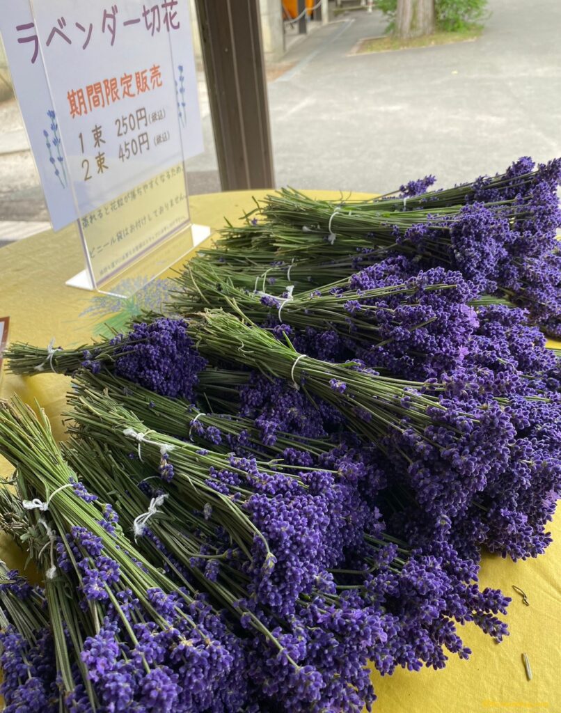 ファーム富田の売店のラベンダー花切