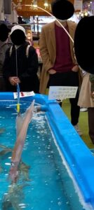 イカ釣り