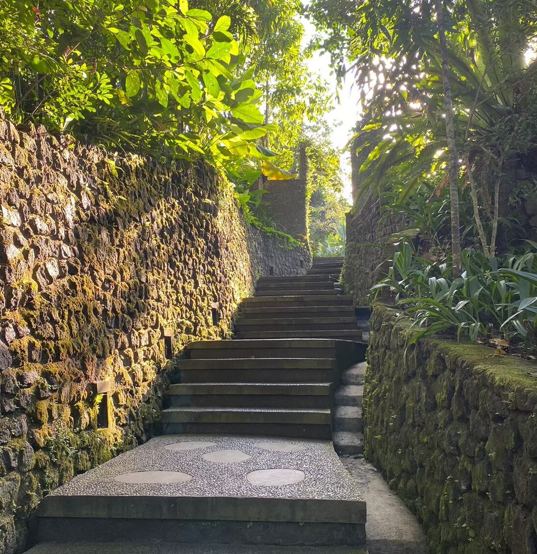 広い庭