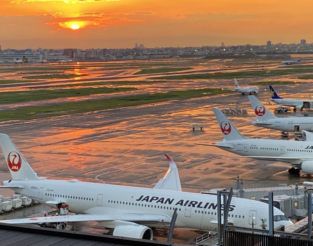 鶴丸の飛行機