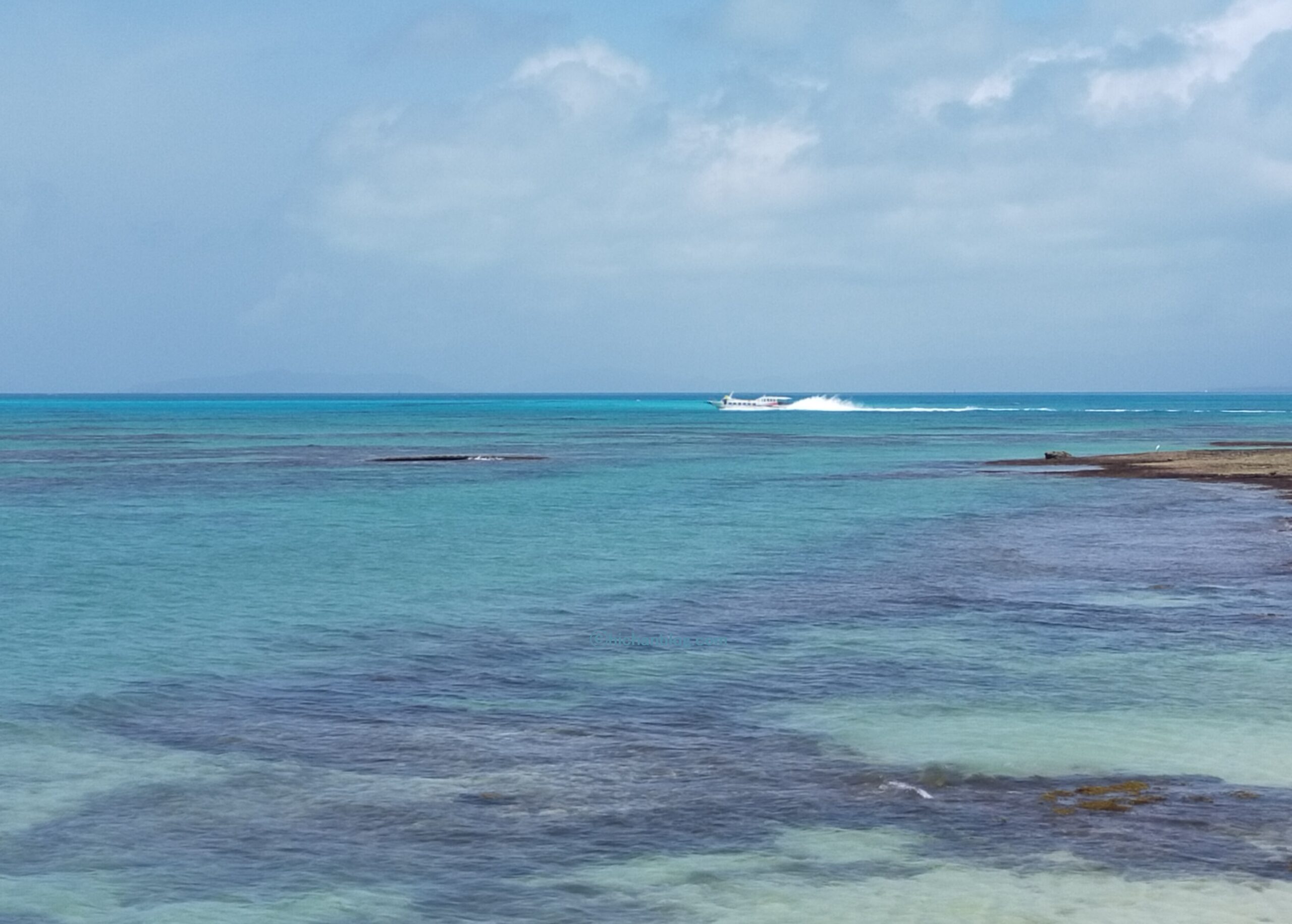 沖縄の海