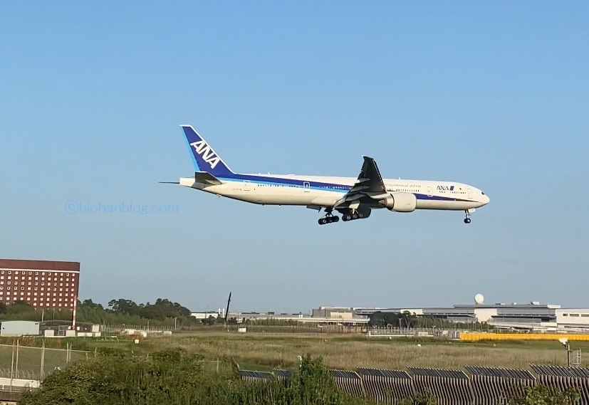 さくらの山公園から見た飛行機