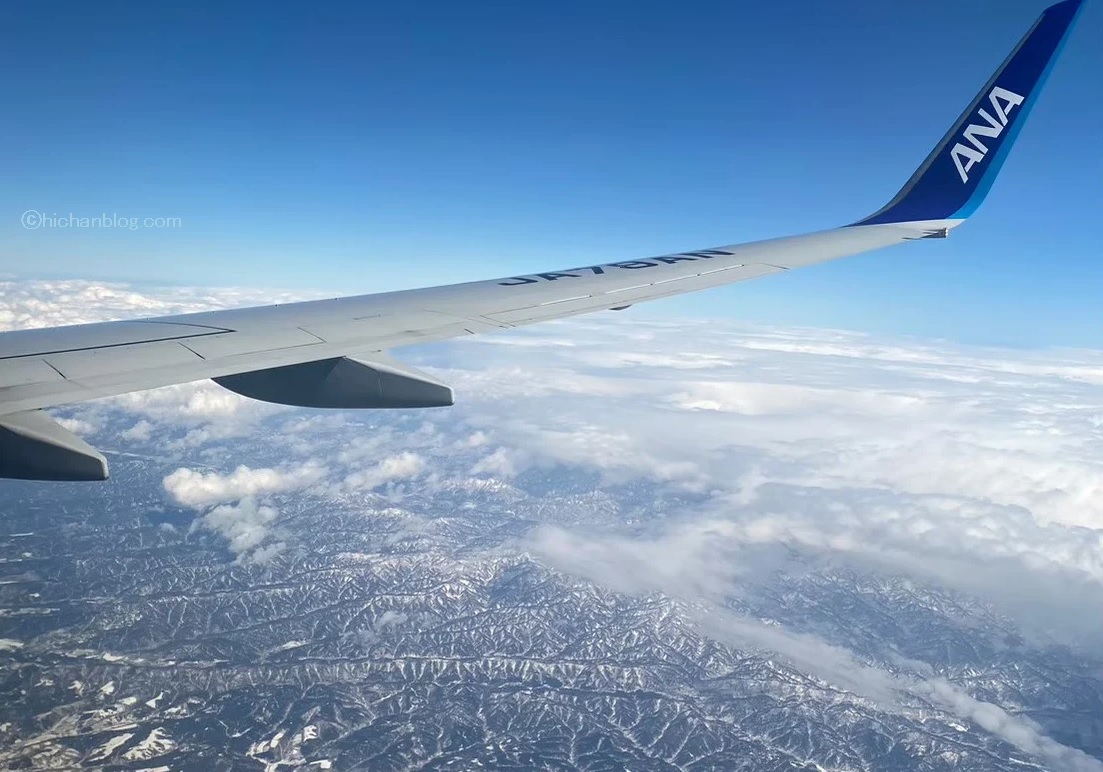 飛行機からの景色