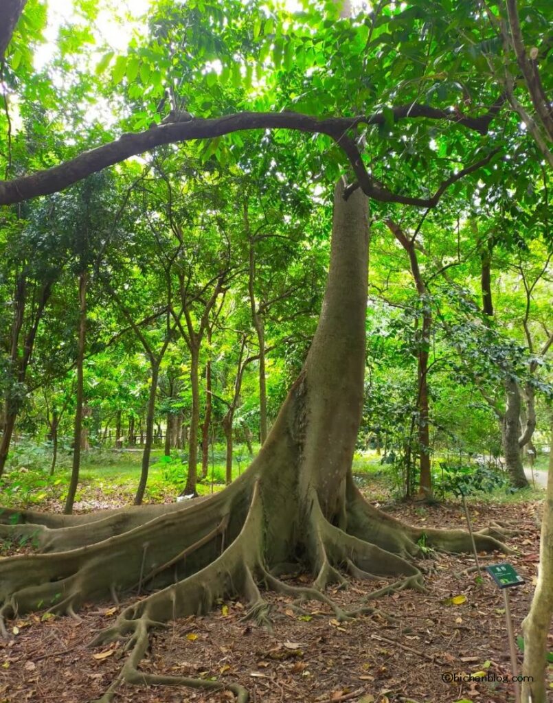 台北植物園